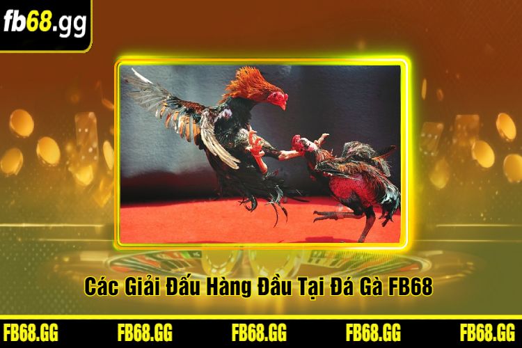 Các Giải Đấu Hàng Đầu Tại Đá Gà FB68