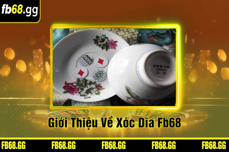 Giới Thiệu Về Xóc Dĩa Fb68